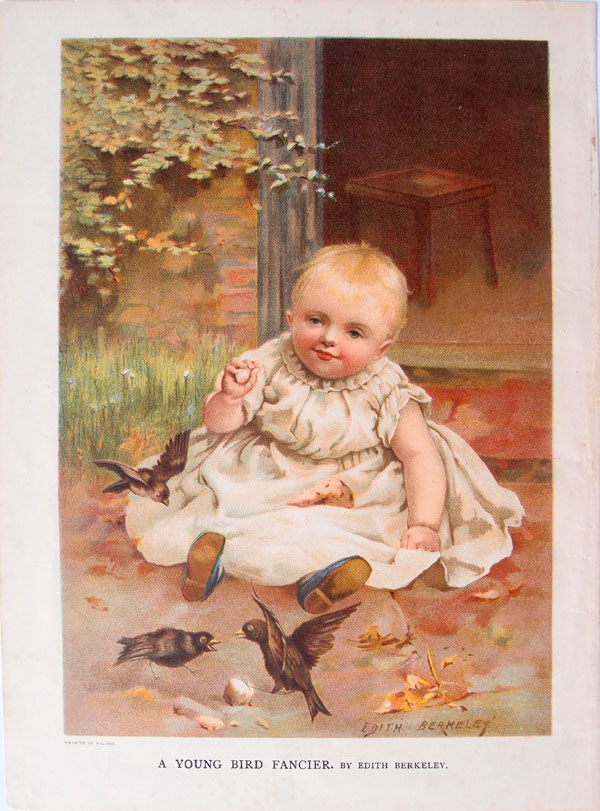 stampa antica bimba berkeley