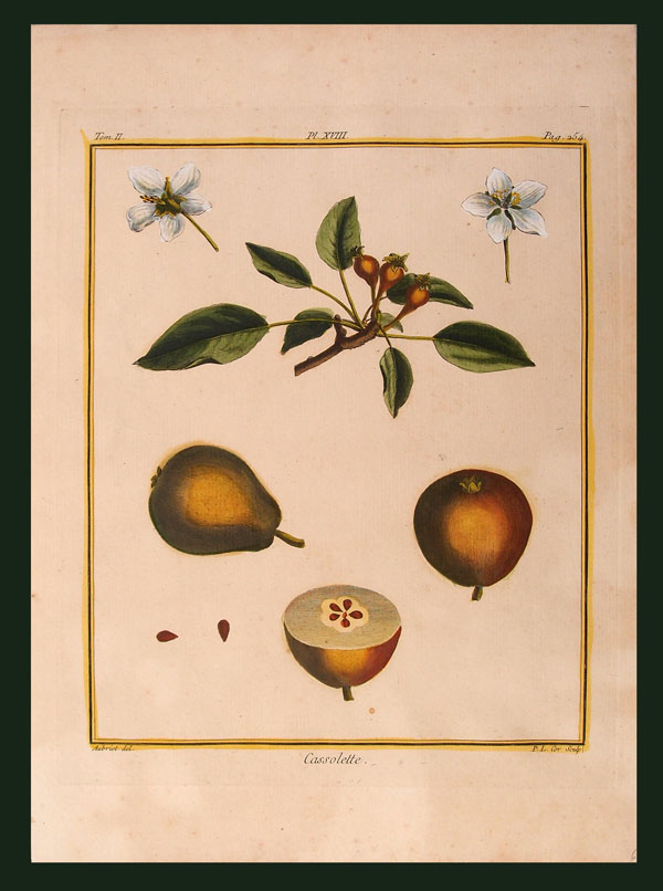 stampa antica pera cassolette