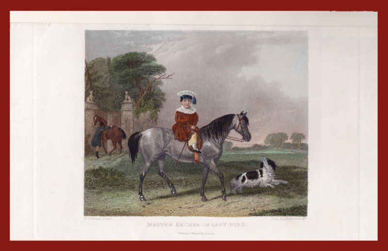 stampa antica pony