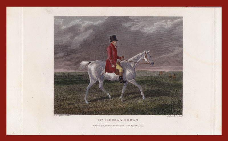 stampa antica cavaliere thomas brown