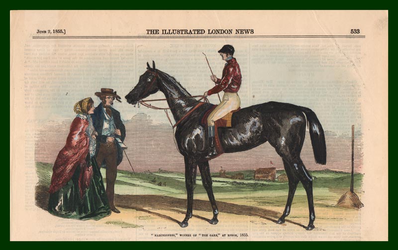 stampa antica cavallo marchioness