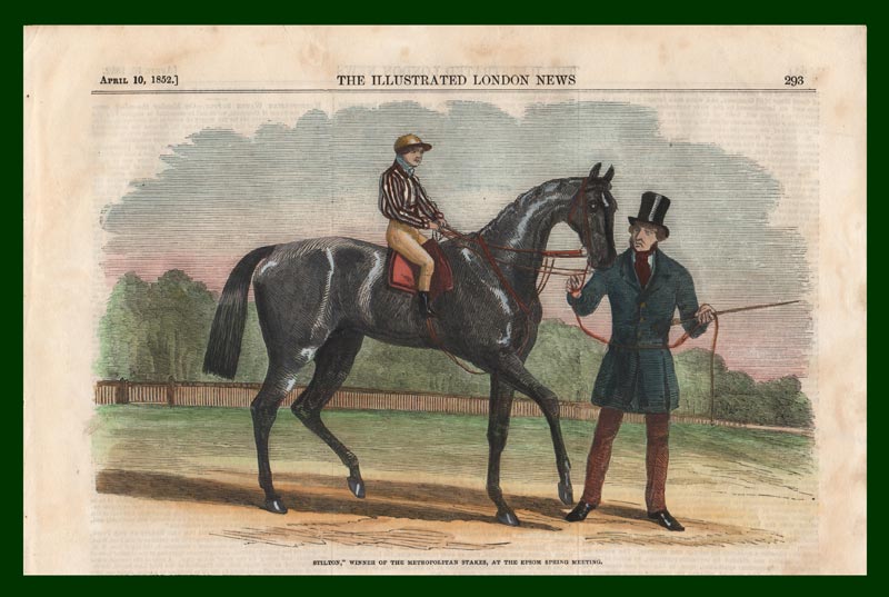 stampa antica cavallo stilton