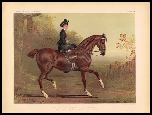 stampa antica alfred corbould