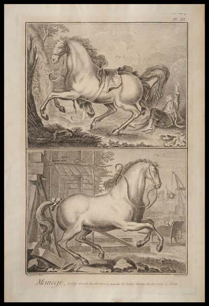 stampa antica galop desuni derriere