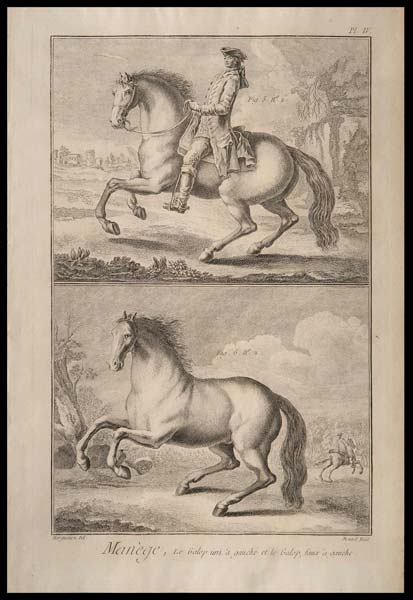 stampa antica manège galop gauche