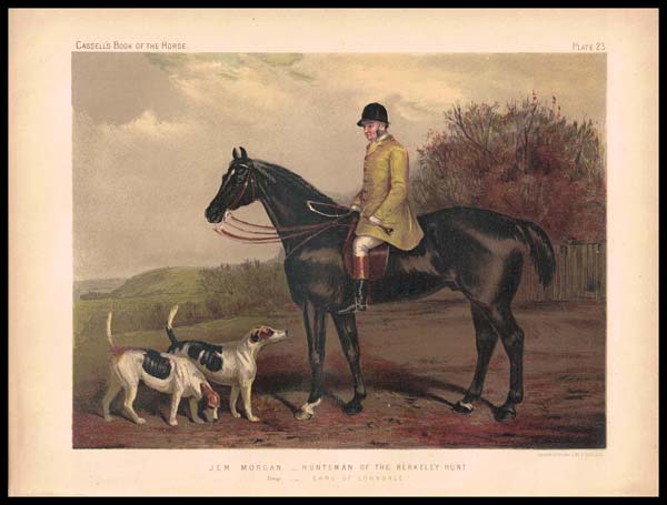 stampa antica cavaliere morgan