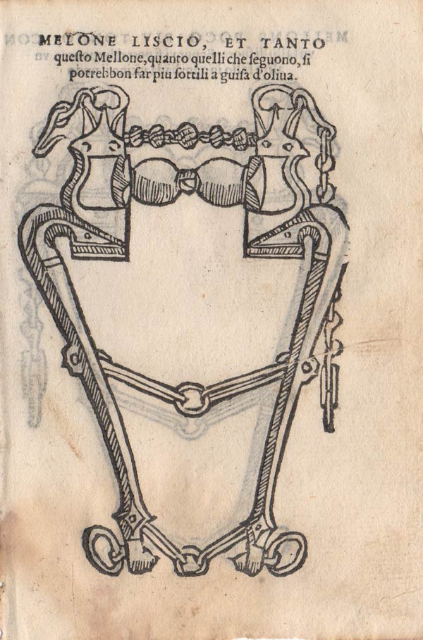 stampa antica finimenti melone liscio