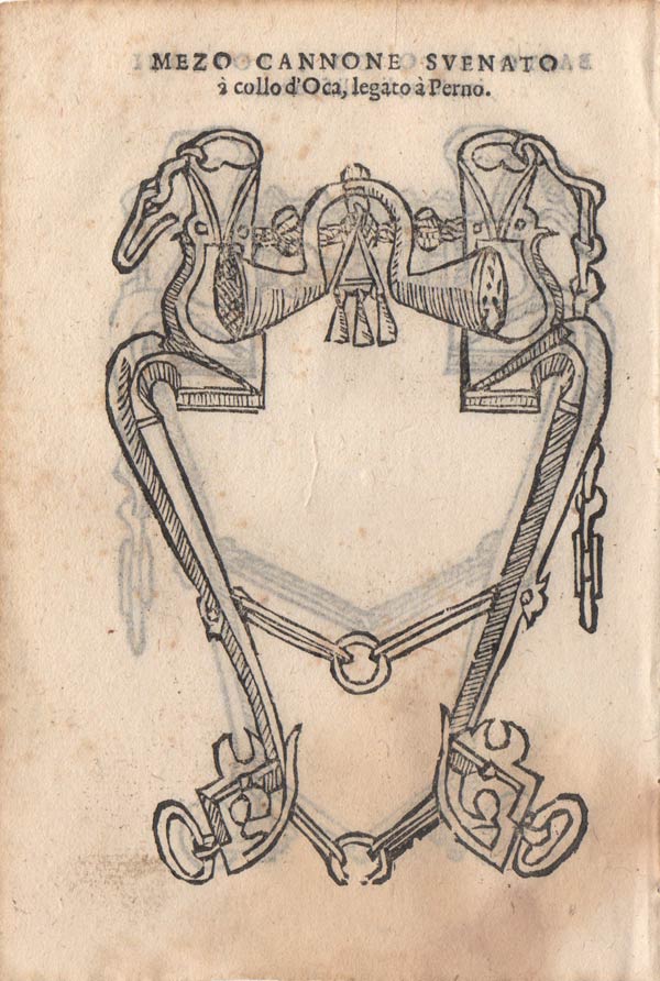stampa antica finimenti mezo cannone stampa antica finimenti