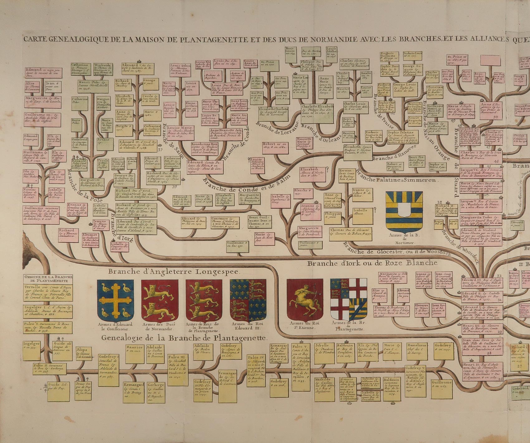 stampa antica genealogia plantageneti