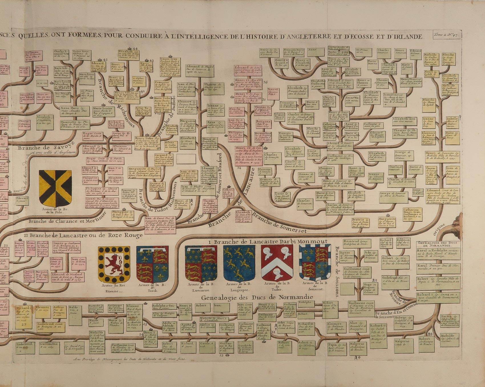 stampa antica genealogia plantageneti