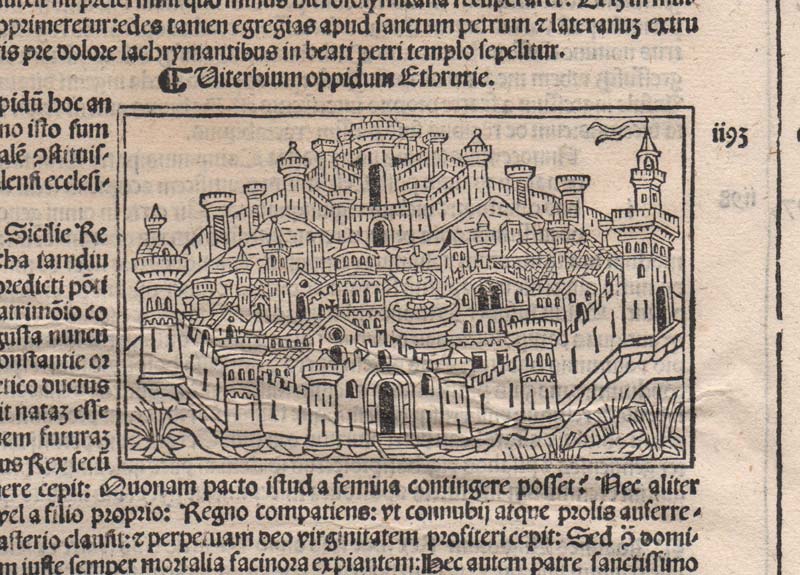 stampa viterbo foresti