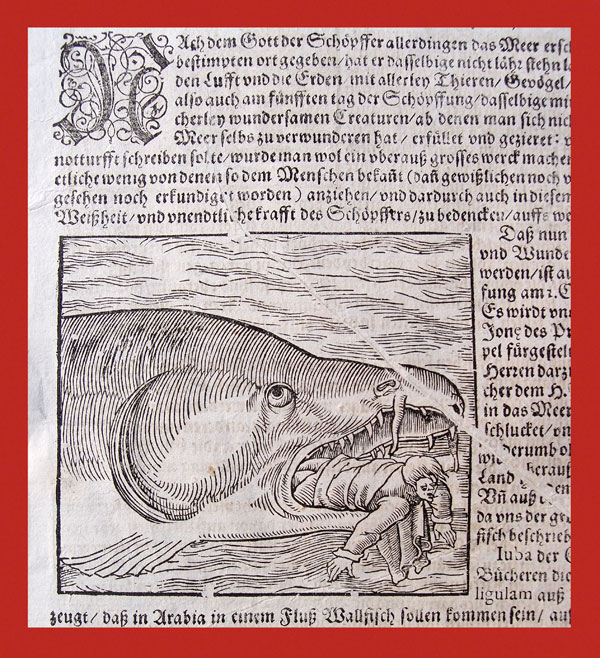 stampa antica giona münster