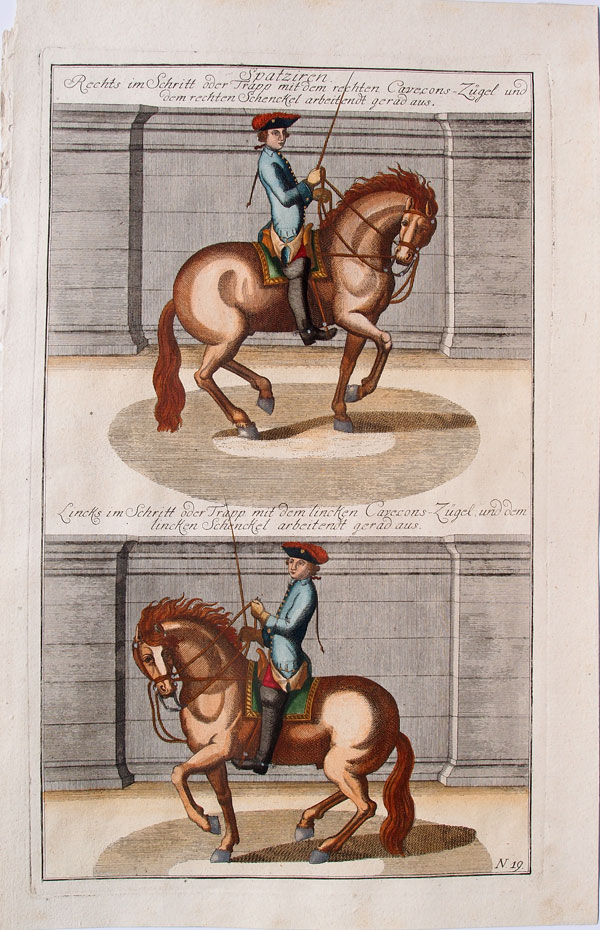 stampa antica equitazione