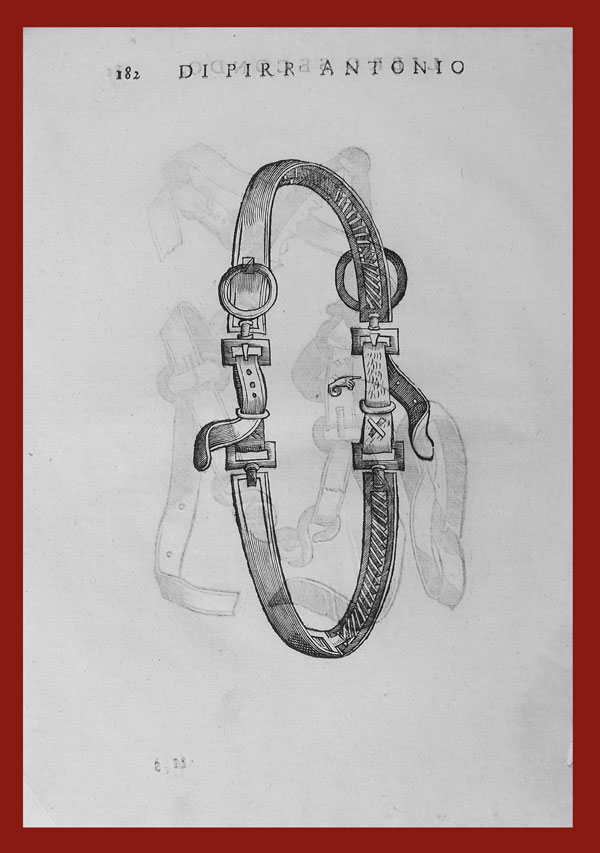 stampa antica collare cavallo