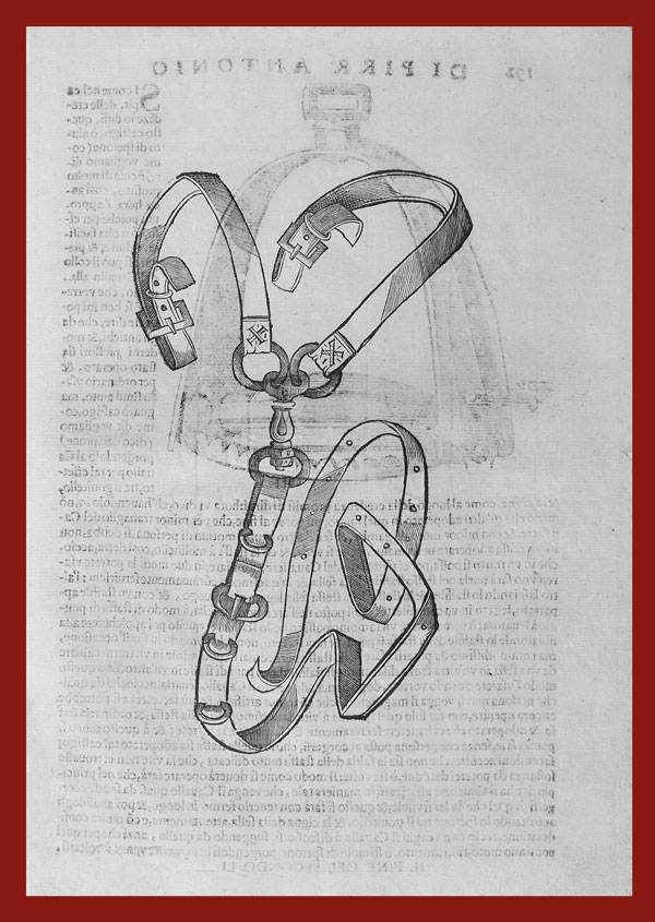 stampa antica finimenti cavalli