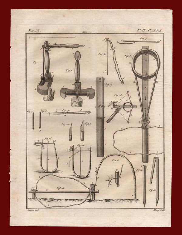 stampa antica caccia anatra rozier