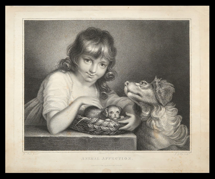 stampa antica animal affection
