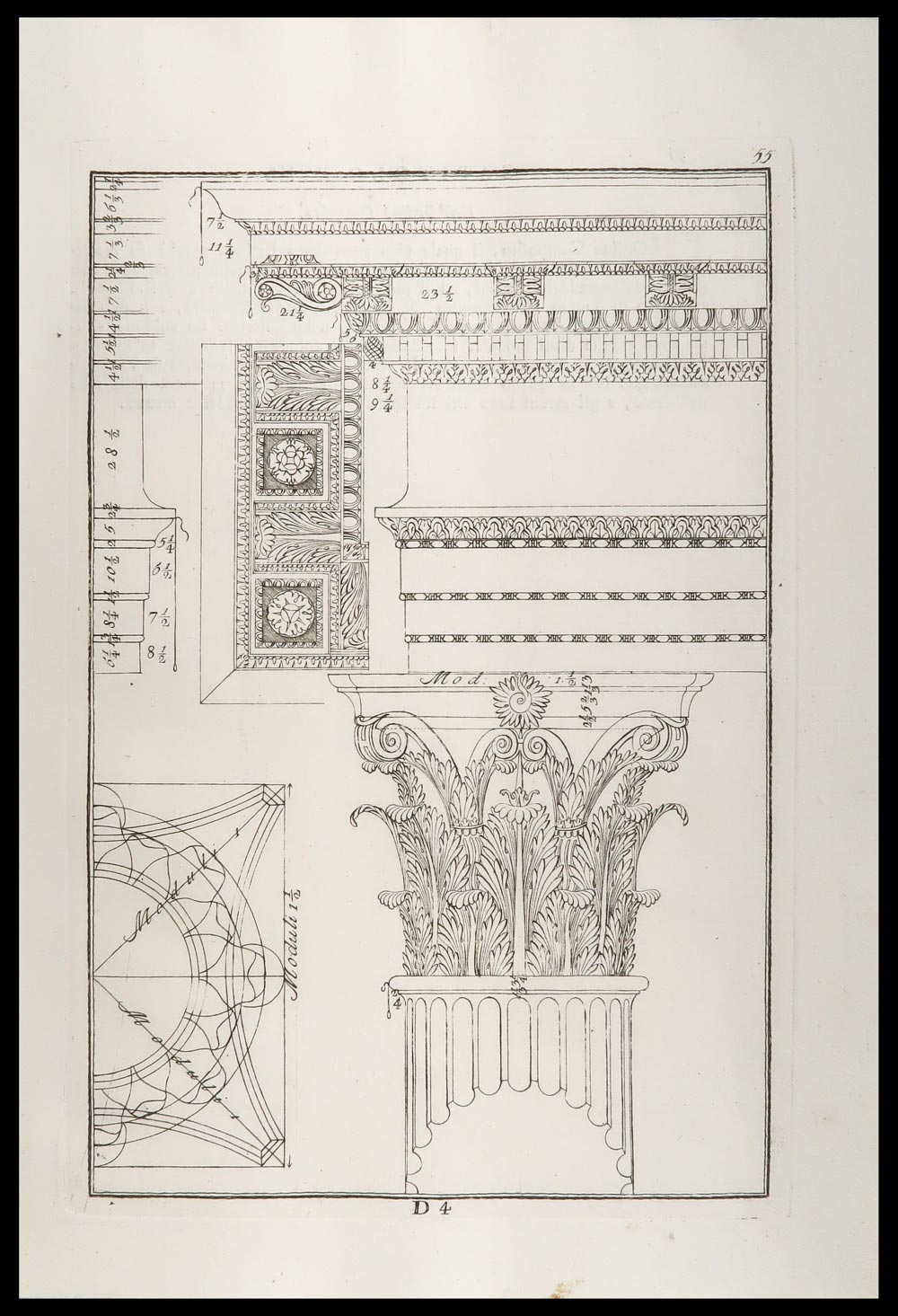 stampa antica capitello corinzio palladio