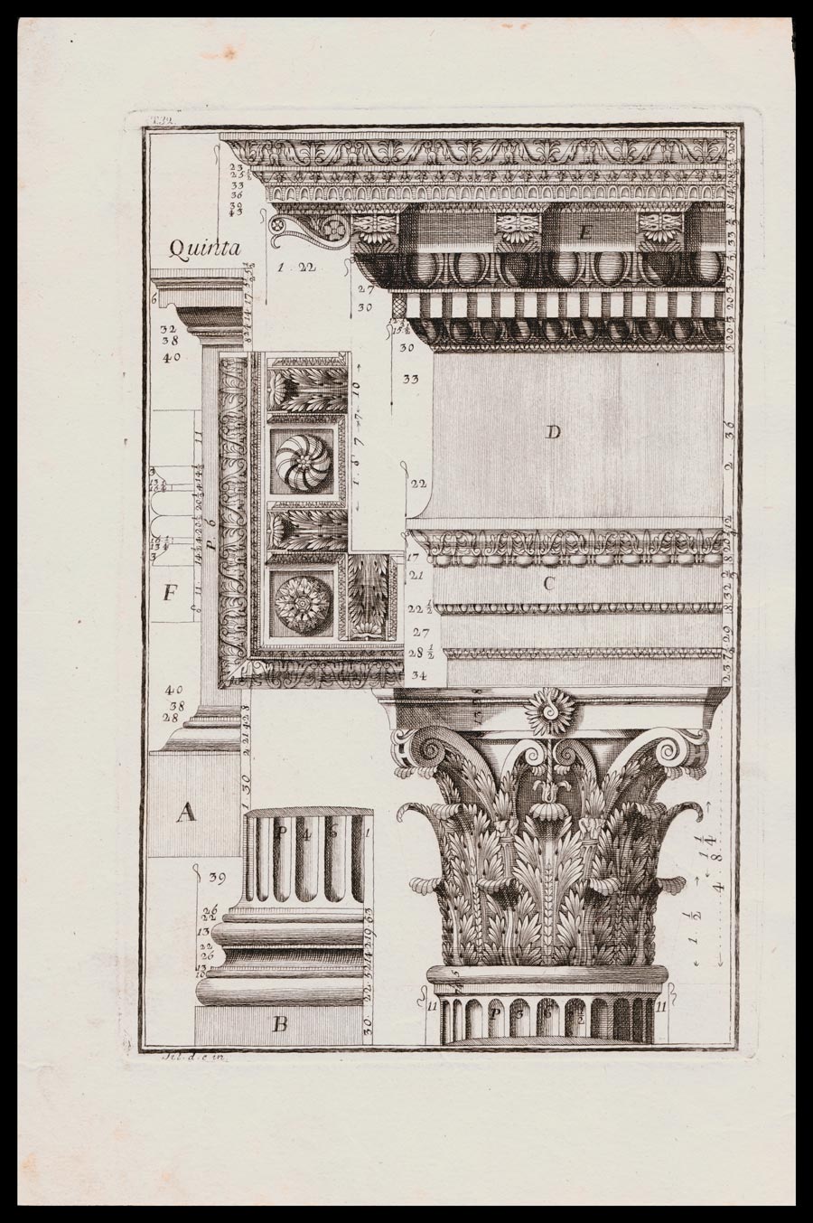 stampa antica capitello corinzio tempio nerva