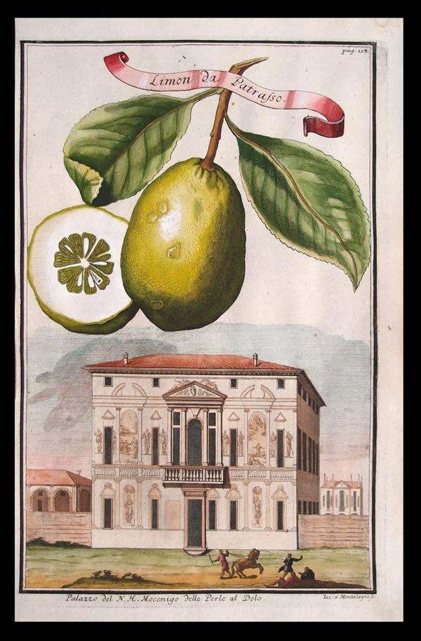 stampa antica limone patrasso