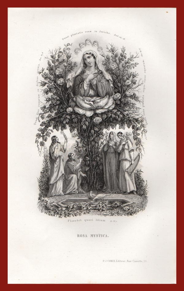 stampa antica rosa mystica