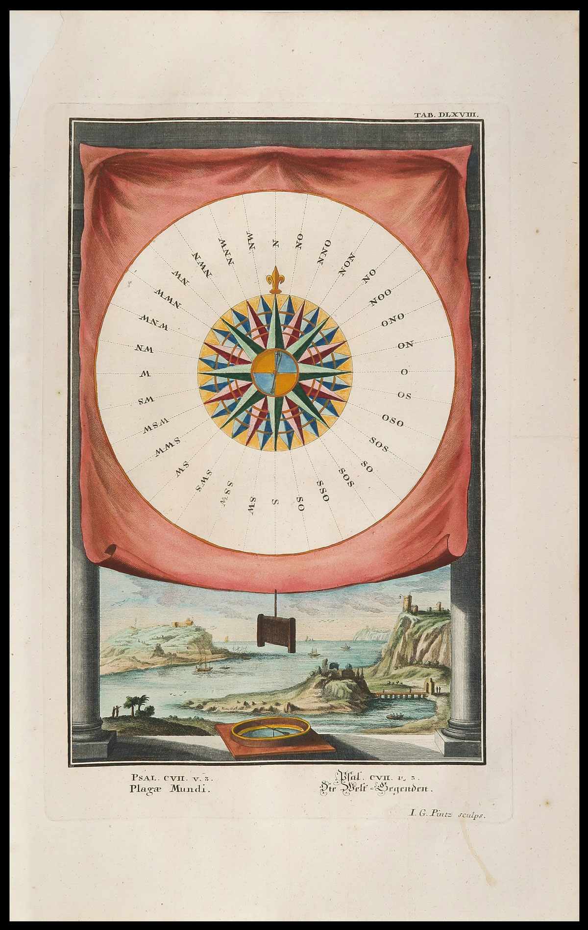 stampa antica rosa venti scheuchzer
