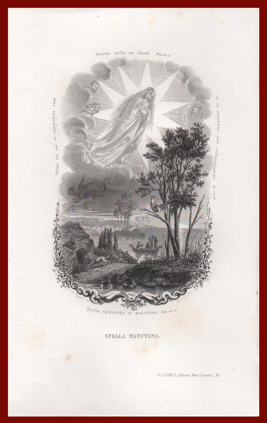 stampa antica stella matutina