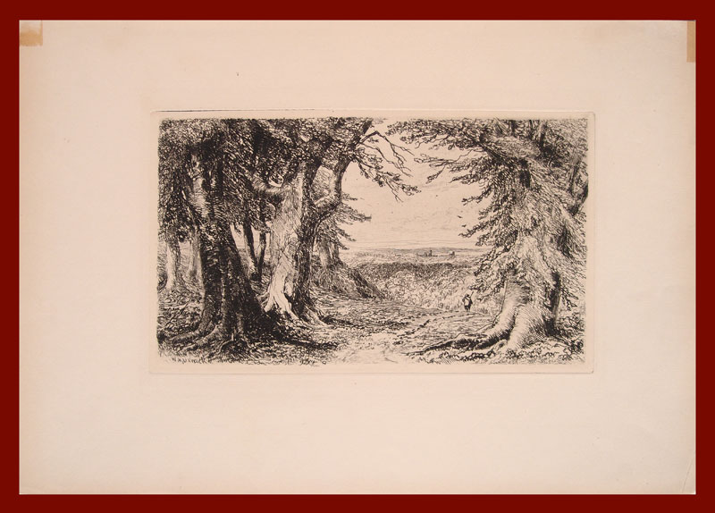 stampa antica paesaggio bosco urwick
