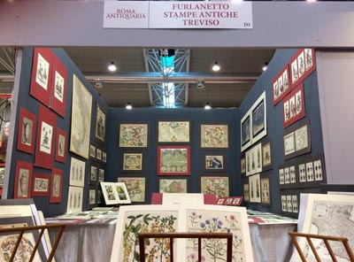 roma antiquaria 2019