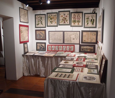 treviso antiquaria
