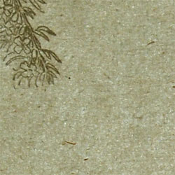 carta del primo ottocento carta dell'ottocento