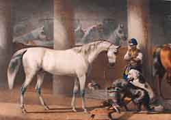 Le stampe antiche