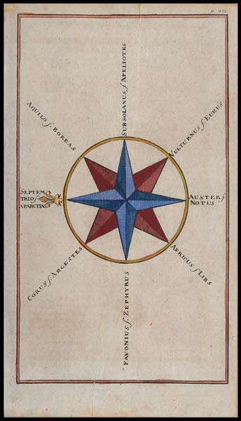 stampa antica rosa venti cole