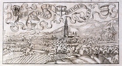 friburgo nella cosmographia di sebastian münster friburgo