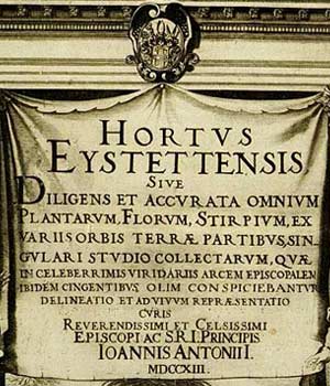hortus eystettensis del 1750