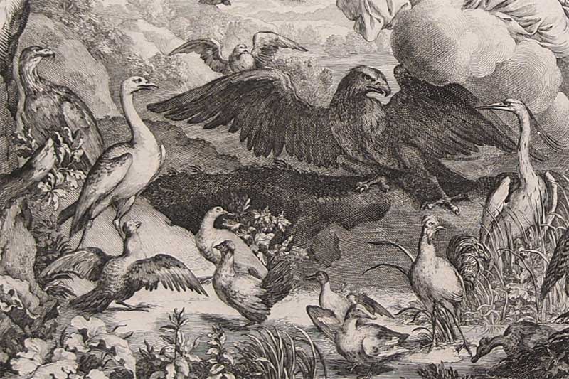 stampa antica angioletti stampa angioletti