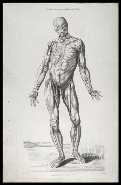 stampa antica miologia le clerc