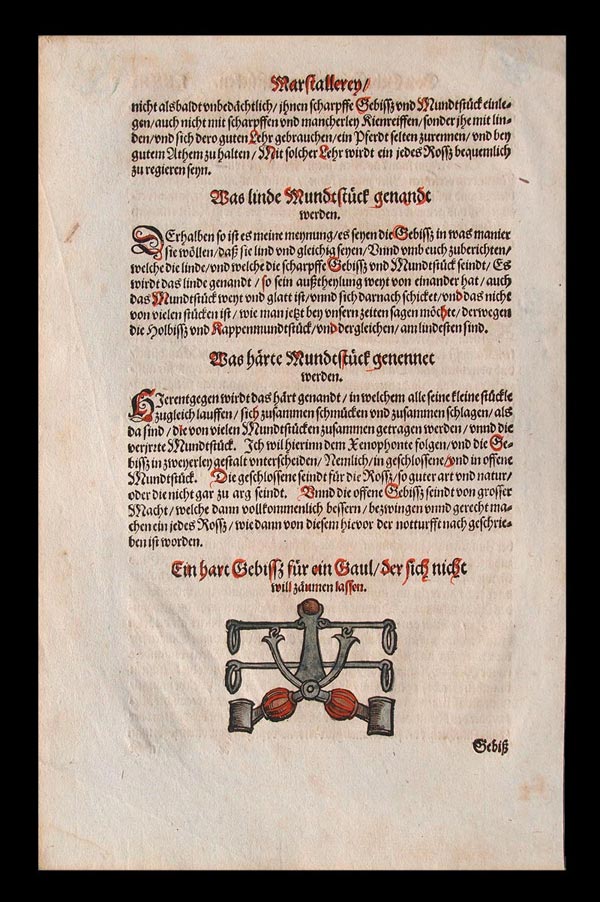 stampa antica equitazione
