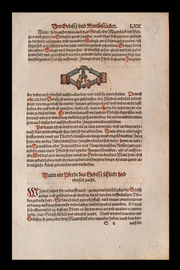 stampa antica equitazione
