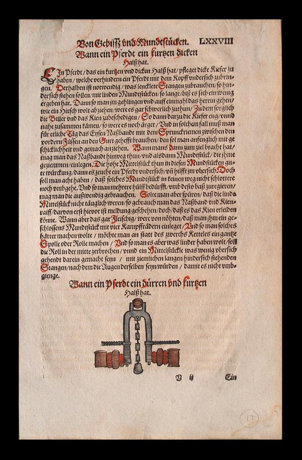 stampa antica equitazione