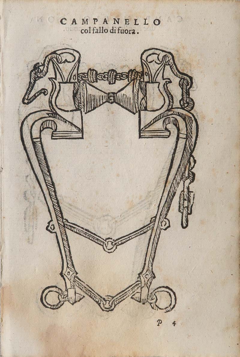 stampa antica morso campanello grisone stampa antica morso campanello