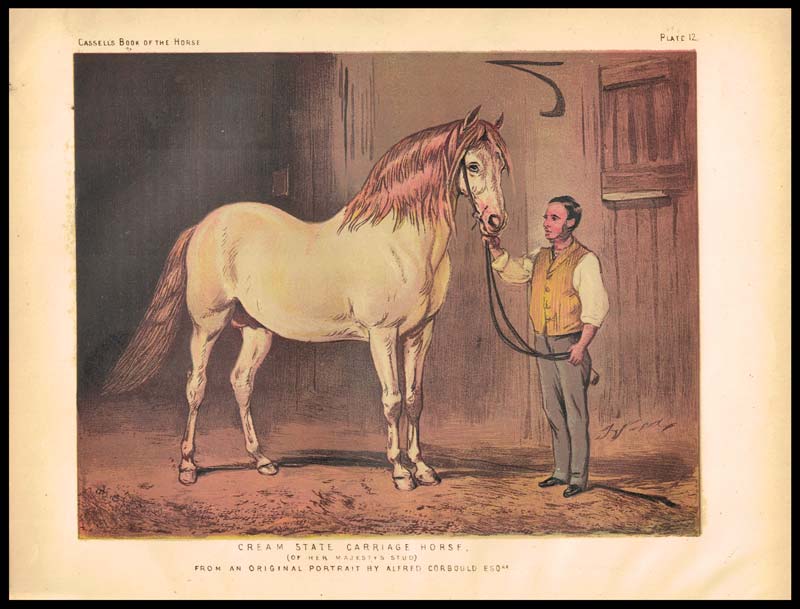 stampa antica cavallo carrozze