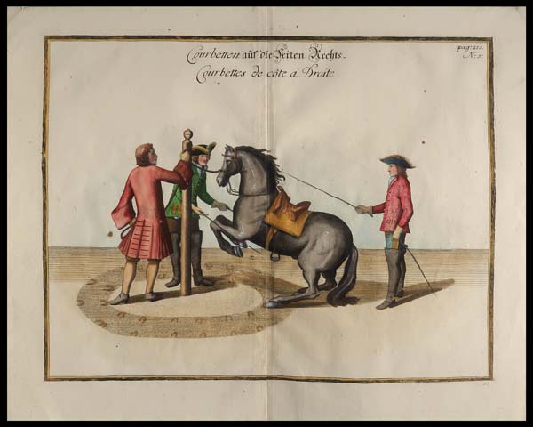 stampa antica dressage courbette destra