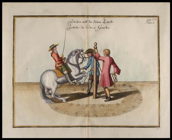stampa antica dressage courbette sinistra