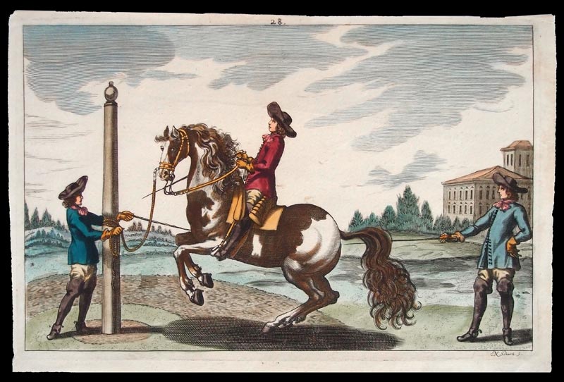 stampa antica dressage winter