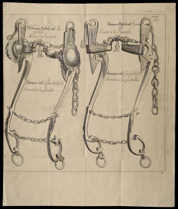 stampa antica imboccatura cavendish